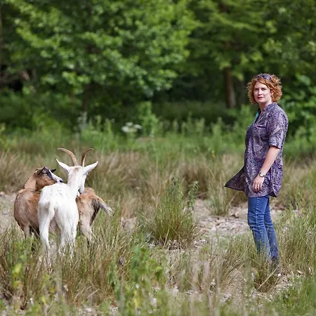 Le Du Chateau De La Verie Challans