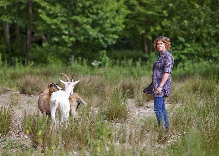 Le Du Château De La Vérie Challans